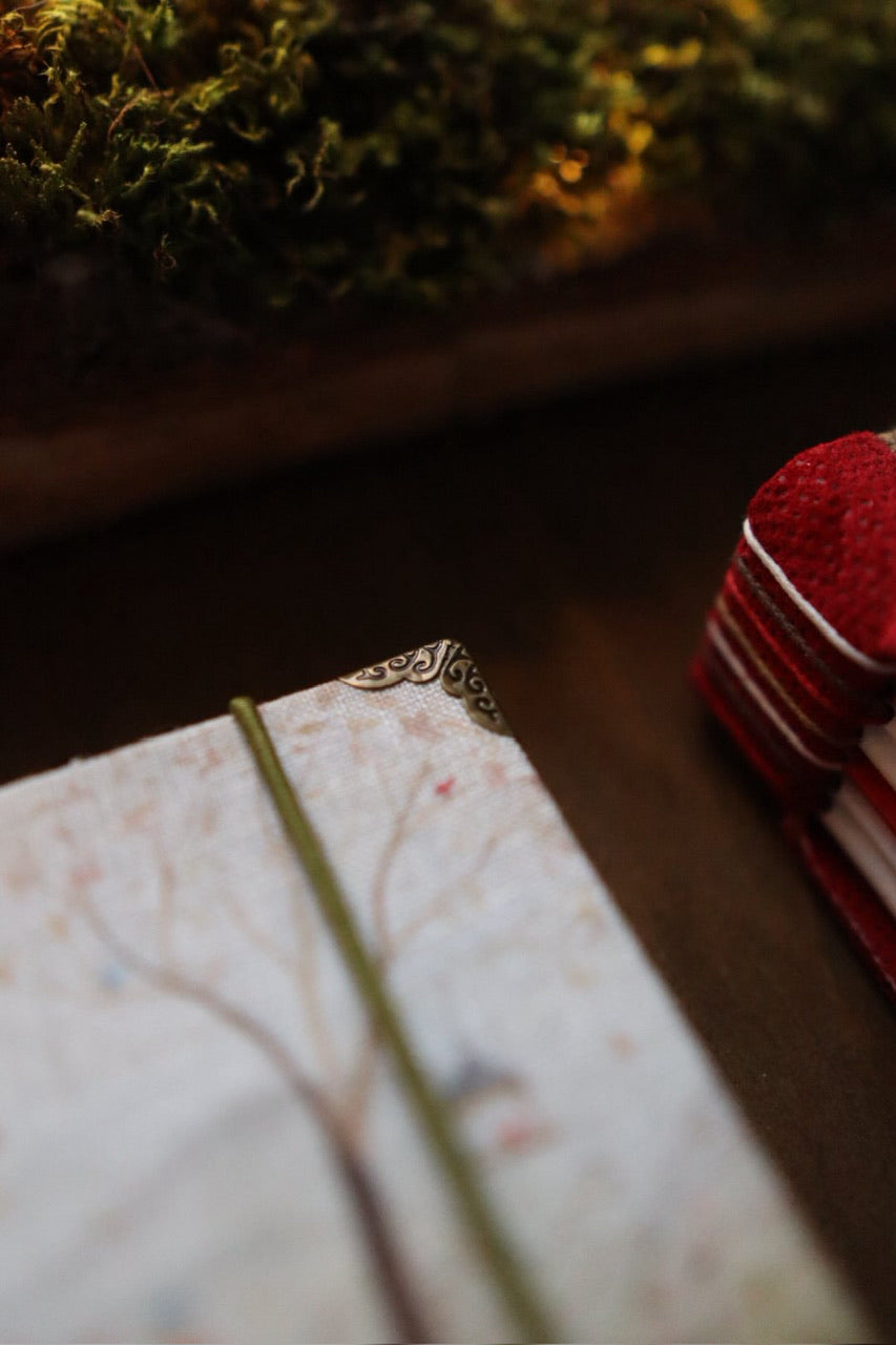 Planner 2026 / Molly