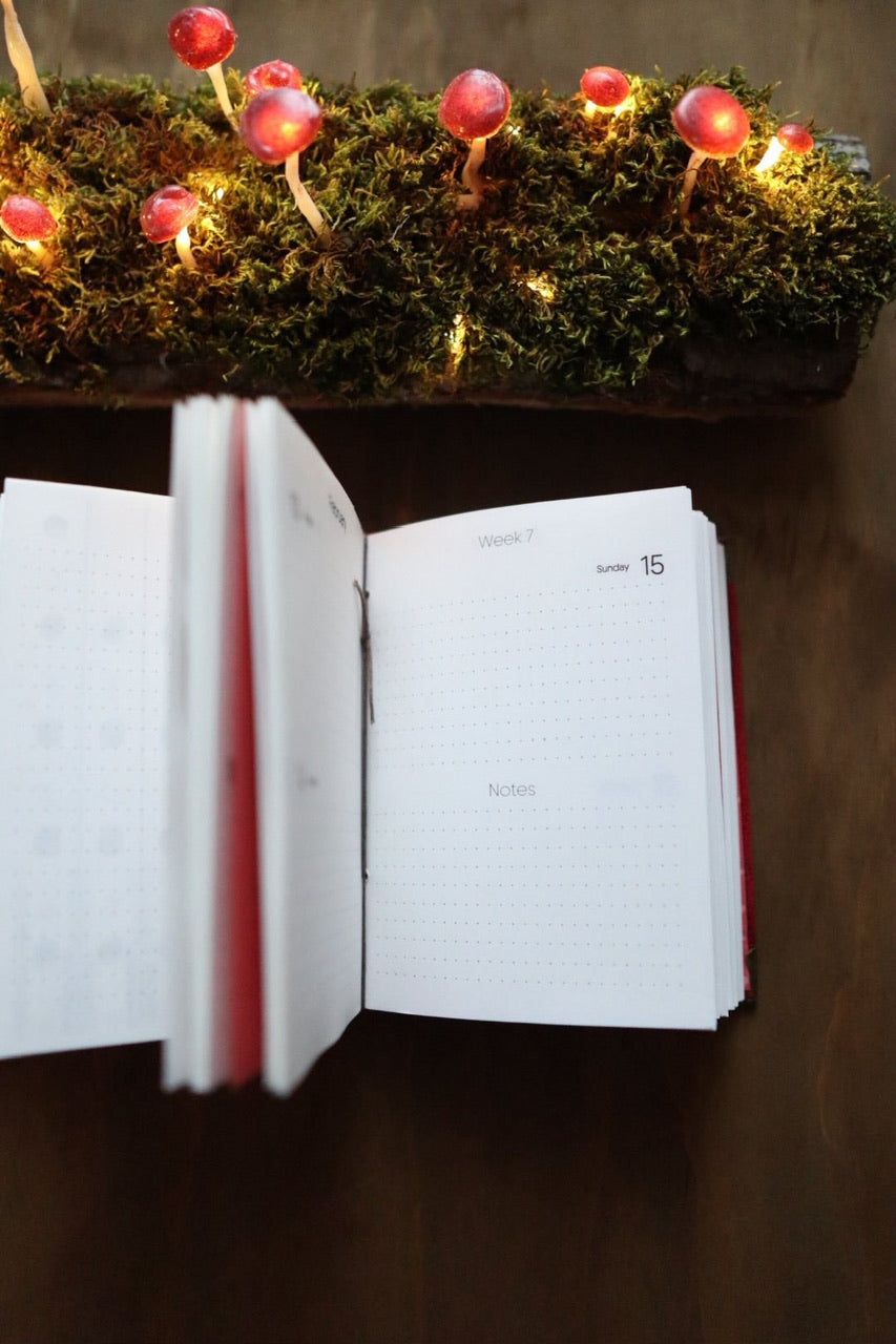 Planner 2026 / Molly