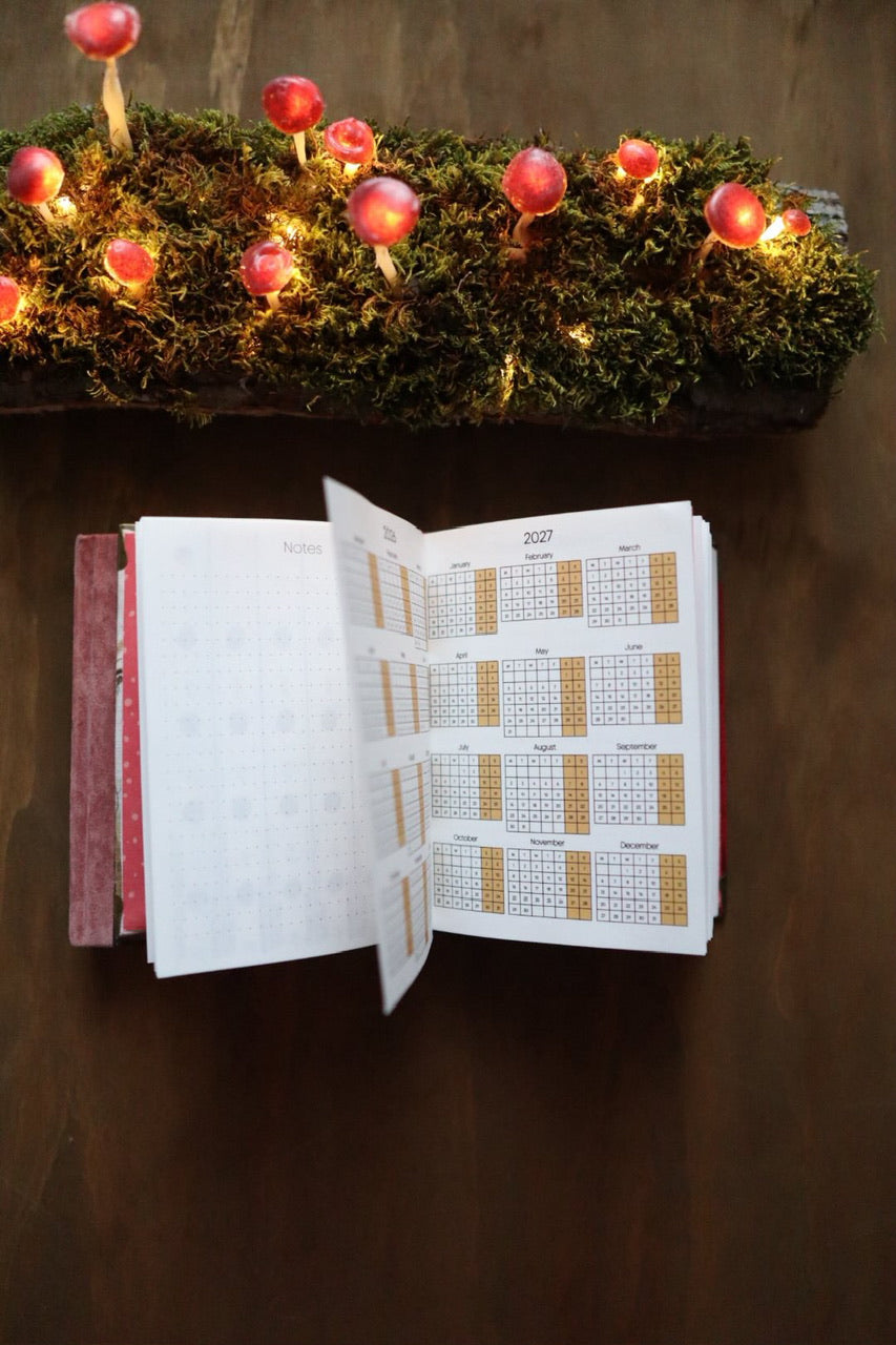 Planner 2026 / Molly