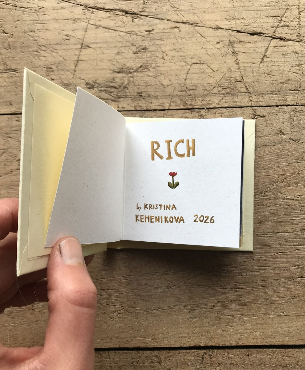 RICH - mini book
