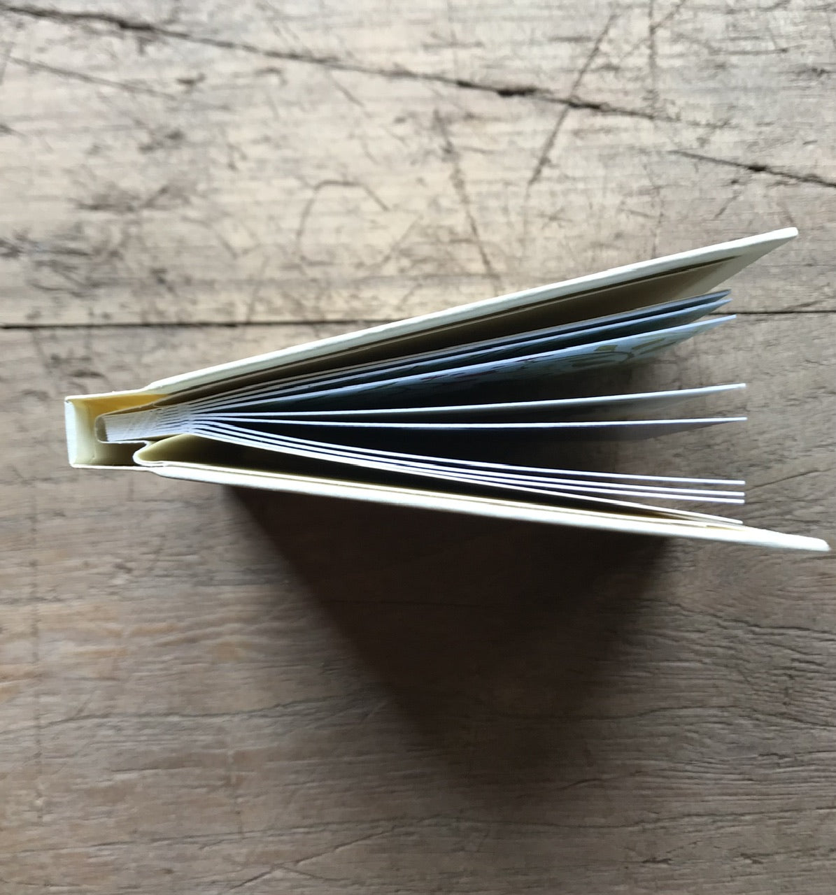 RICH - mini book