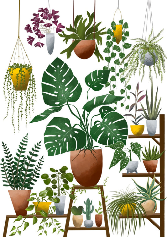 Magic plant shelf- fine art print