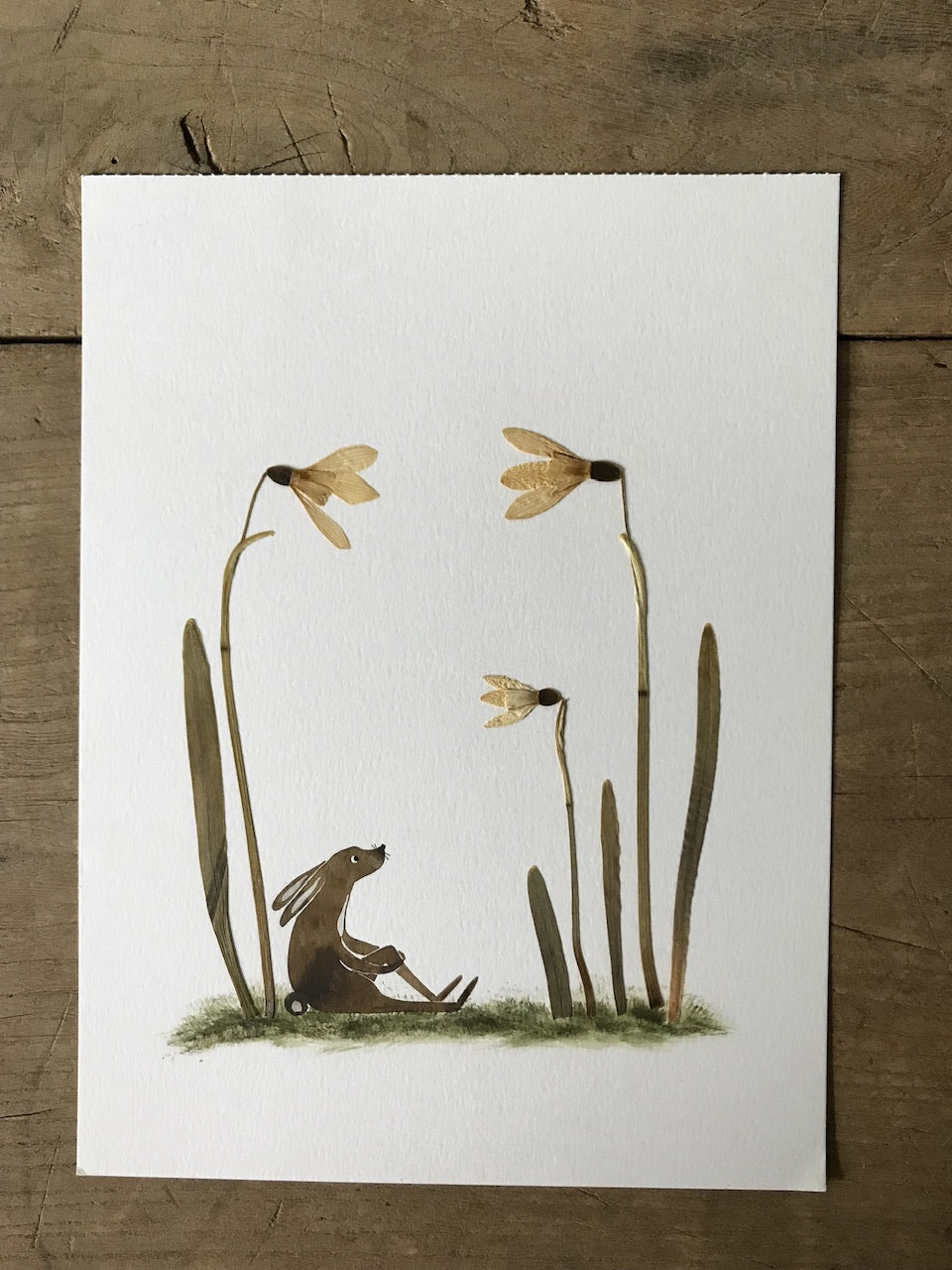Snowdrops - pressed plant collage