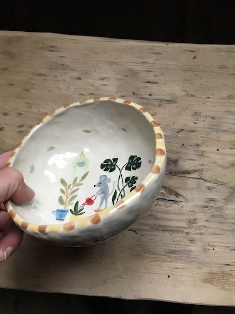 Watering my plants - little bowl