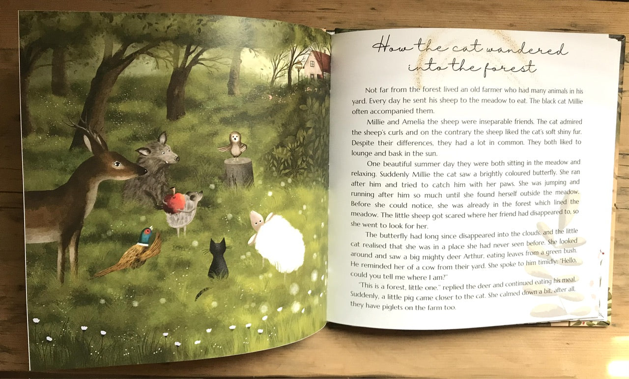Sleep and dream - book