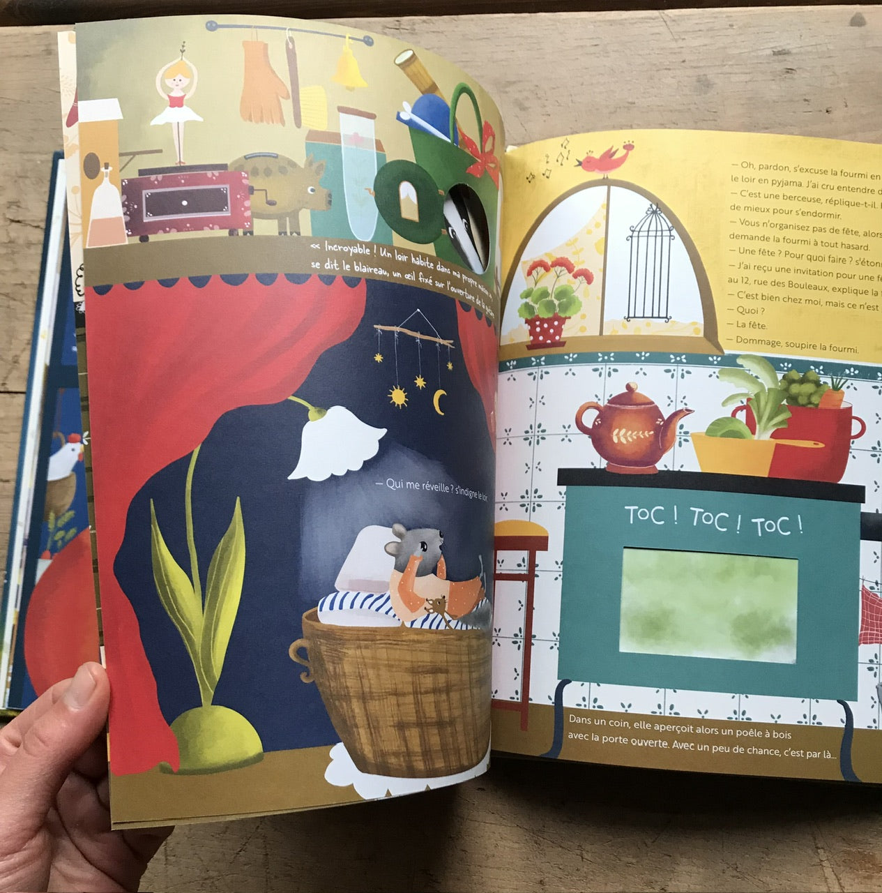 Toc! Toc! Toc! - book in french language