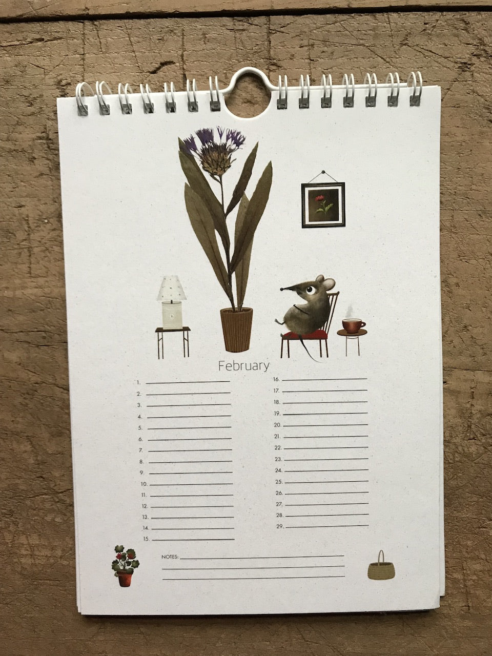 Special days & birthday calendar